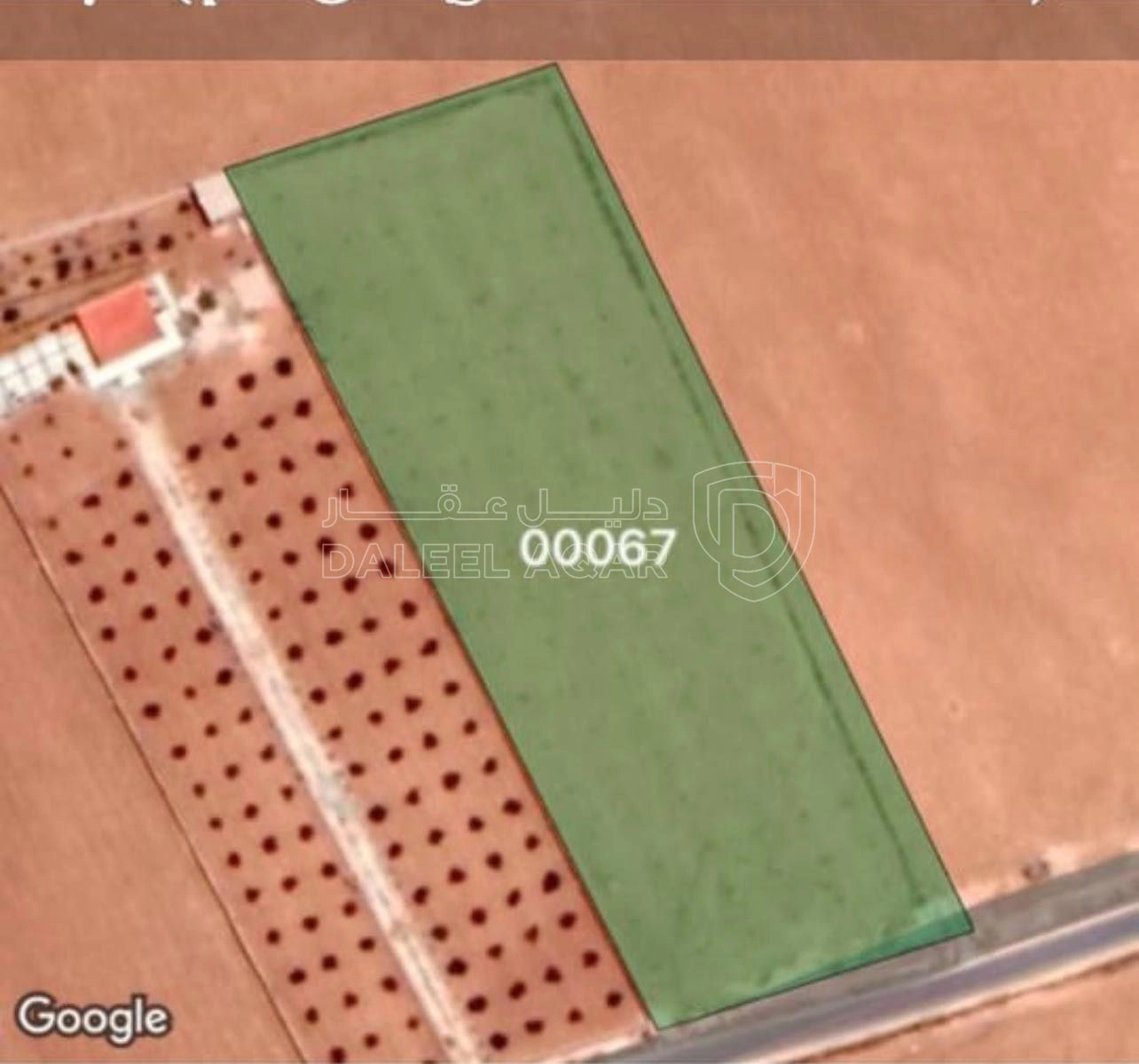 أرض في شاع رحاب الرئيسي - 65,000 دأ - صورة 1