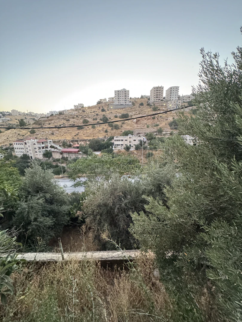 أرض في قطعة أرض تجارية مميزة عليها بيت طابقين  - 300,000 دأ - صورة 1