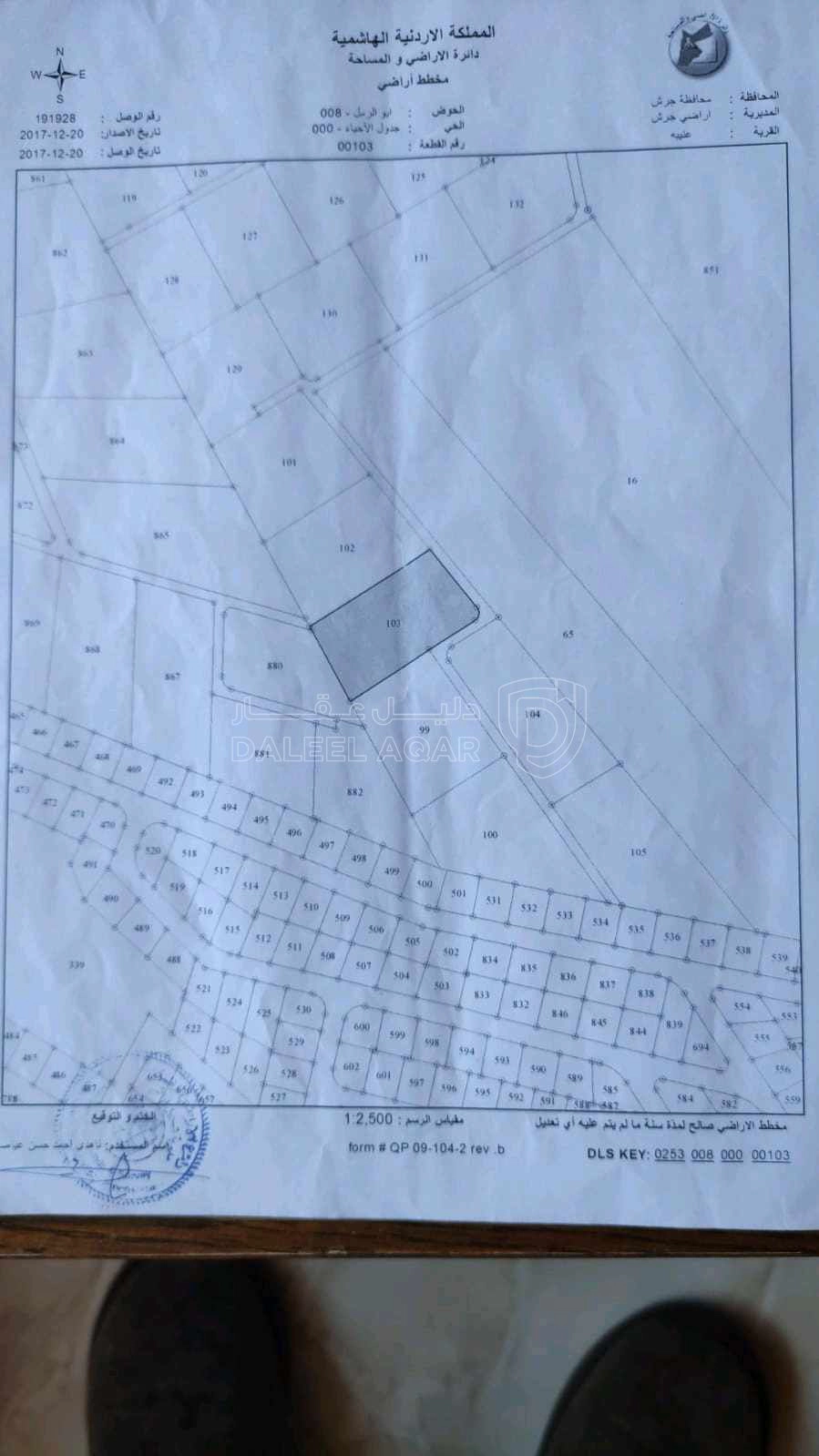 أرض في محافظة جرش قرية عنيبه - 125,000 دأ - صورة 1