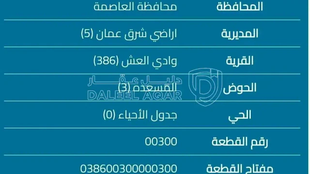 أرض في ارض للبيع شرق عمان وادي العش العايد للبيع  - 300,000 دأ - صورة 1