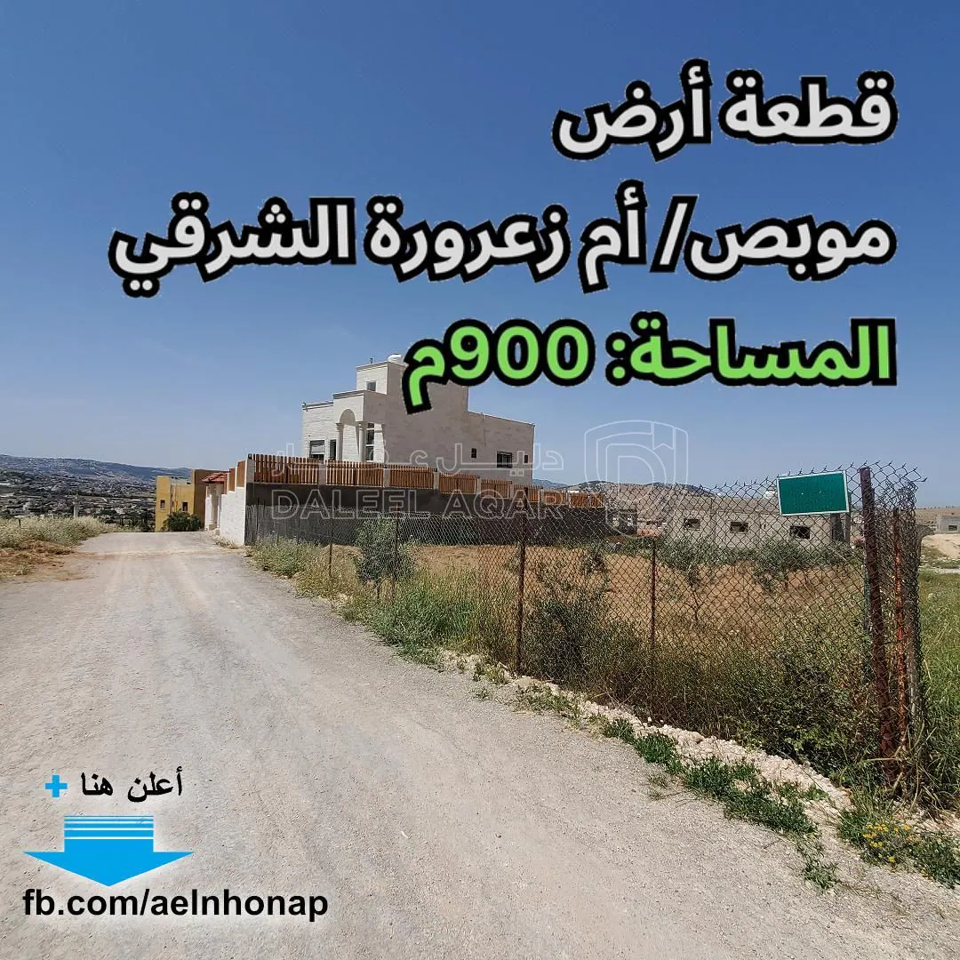 أرض في موبص/ أم زعرورة الشرقي - 71,000 دأ - صورة 1