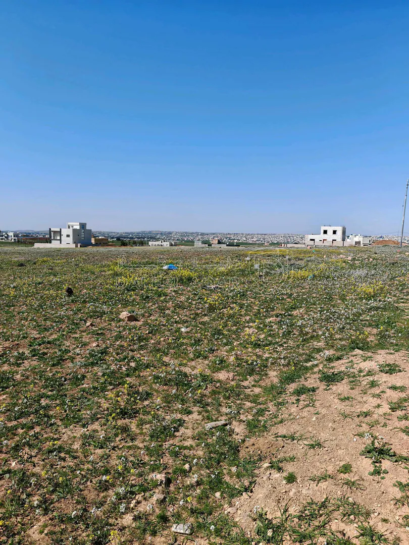 أرض في جلول،مرتفعة مطلة على مادبا - 31,000 دأ - صورة 1