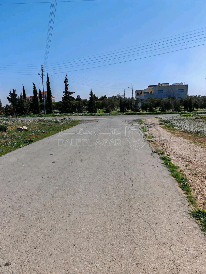 أرض في جلول،مرتفعة مطلة على مادبا - 31,000 دأ - صورة 1