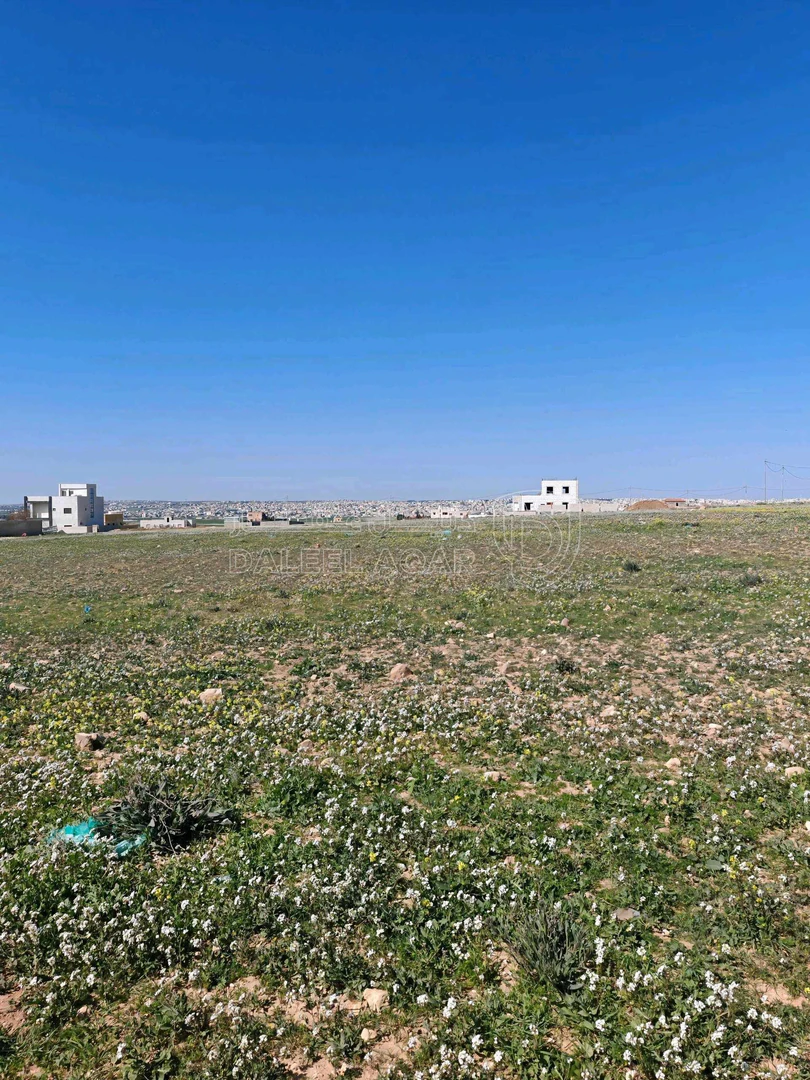 أرض في جلول،مرتفعة مطلة على مادبا - 31,000 دأ - صورة 1