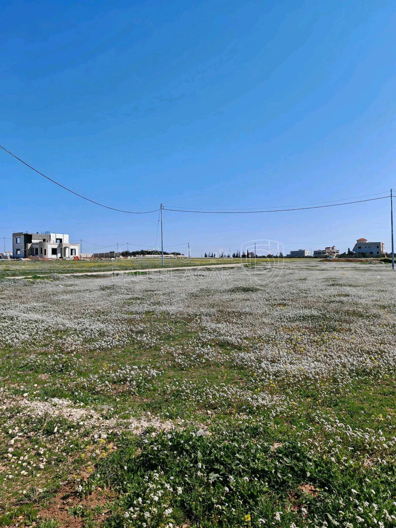 أرض في جلول،مرتفعة مطلة على مادبا - 31,000 دأ - صورة 1