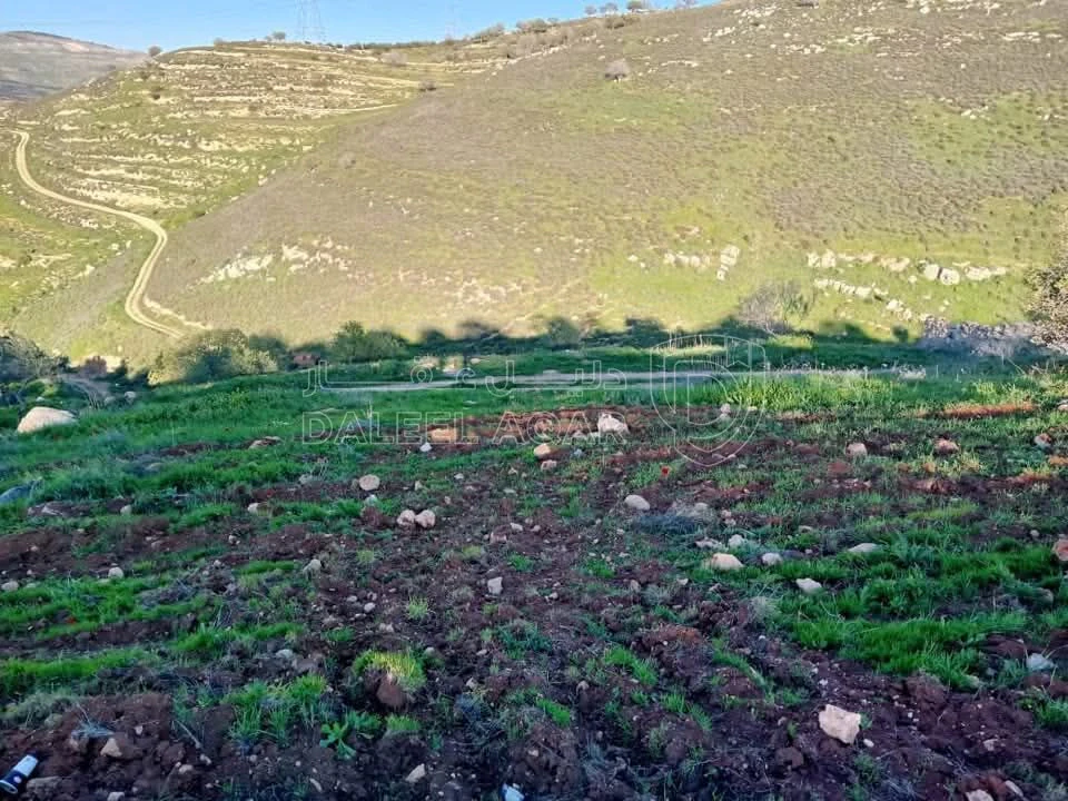أرض في الزرقاء العالوك اسكان المهندسين - 40,000 دأ - صورة 1
