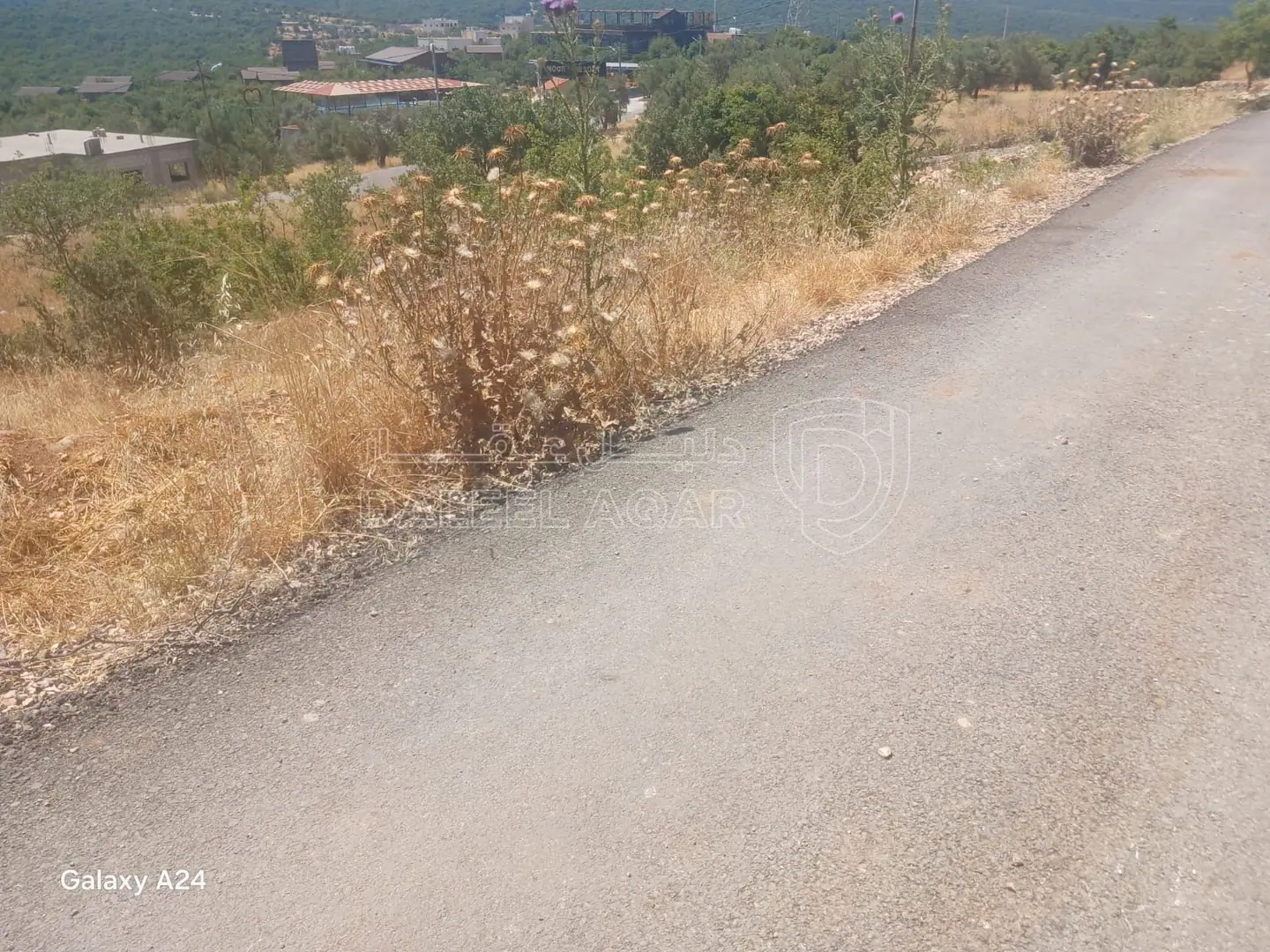 أرض في ام ينابيع بجانب متحع نور سياحي ام ينابيع  - 100,000 دأ - صورة 1