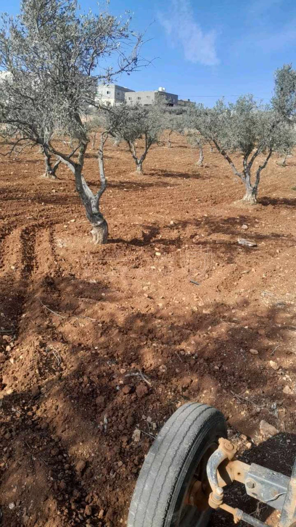 أرض في اربد- المغير - 100,000 دأ - صورة 1