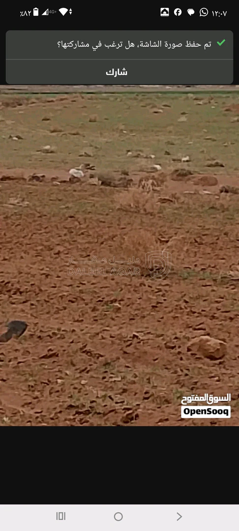 أرض في المفرق التنمويه الخاصه  - 30,000 دأ - صورة 4
