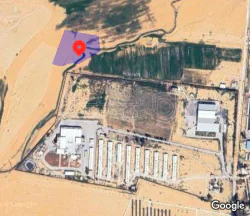 أرض في المفرق التنمويه الخاصه  - 30,000 دأ - صورة NaN