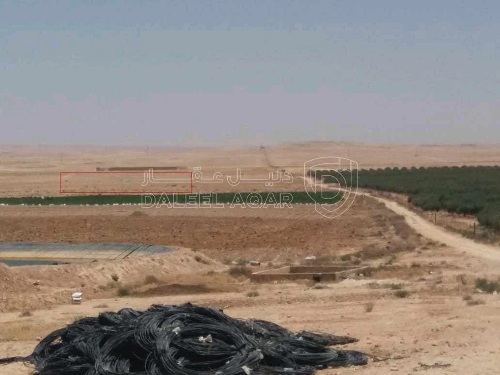 أرض في جنوب عمان موقع الخريم حوض مقرن بريك - 8,000 دأ - صورة 1