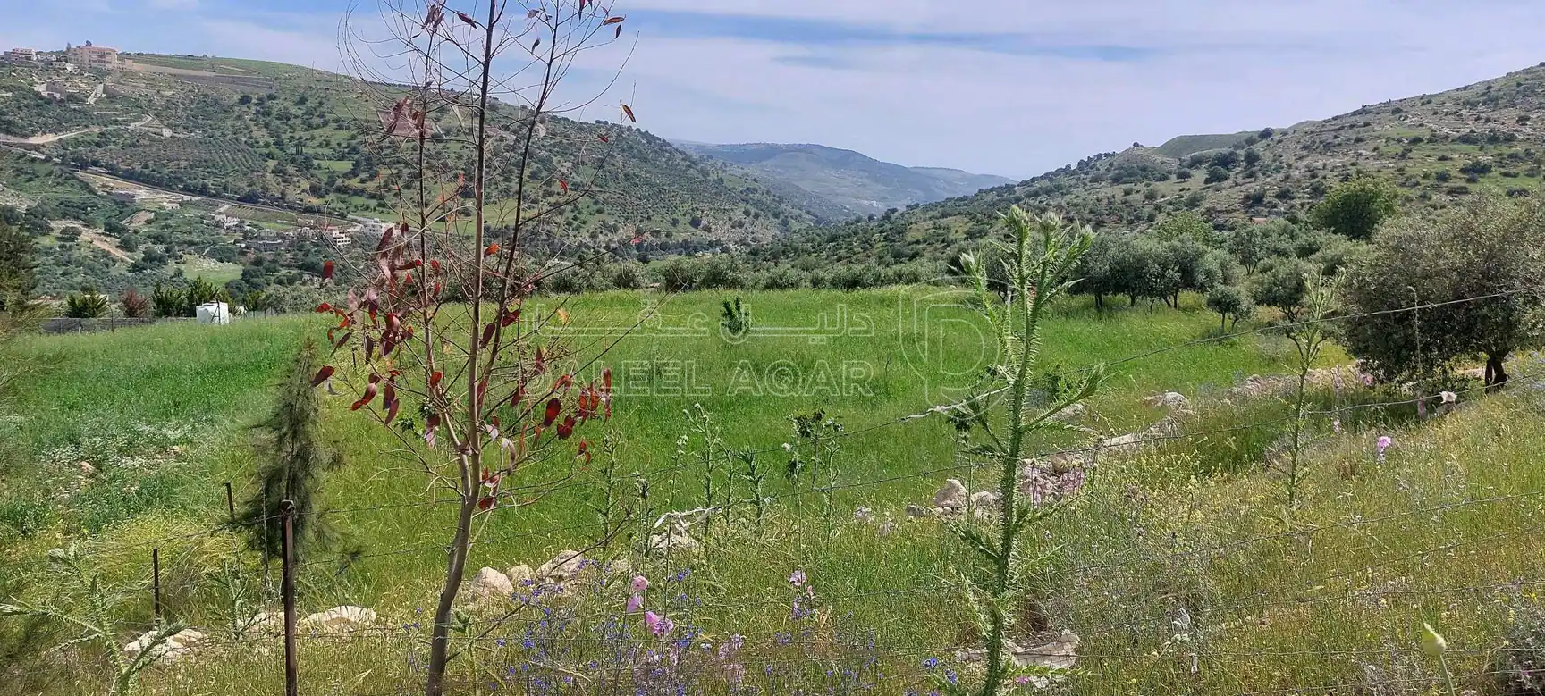 أرض في اراضي غرب عمان  - 550,000 دأ - صورة 8