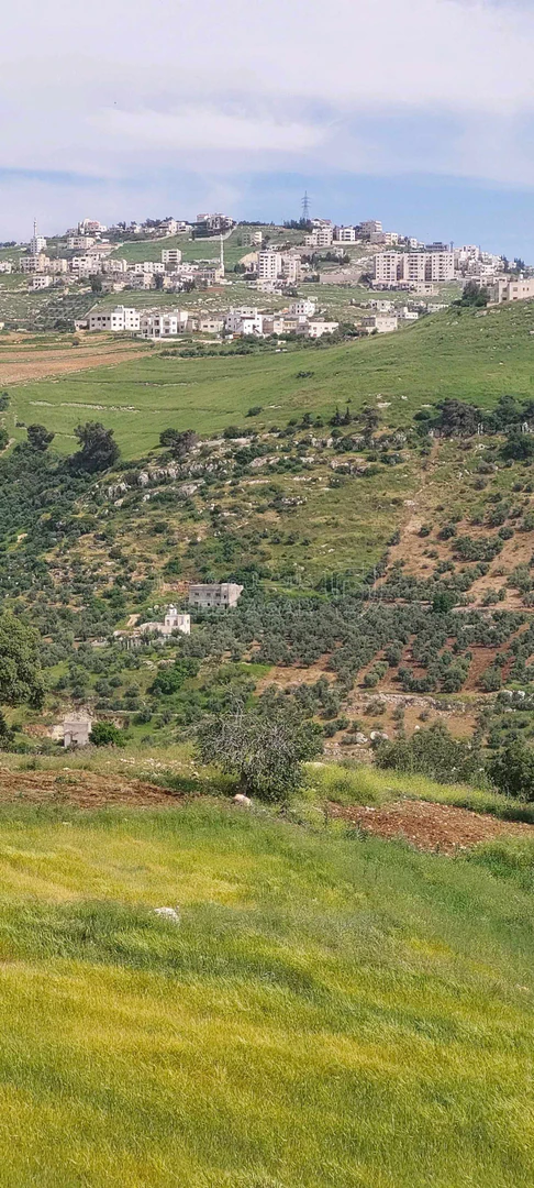 أرض في اراضي غرب عمان  - 550,000 دأ - صورة 12