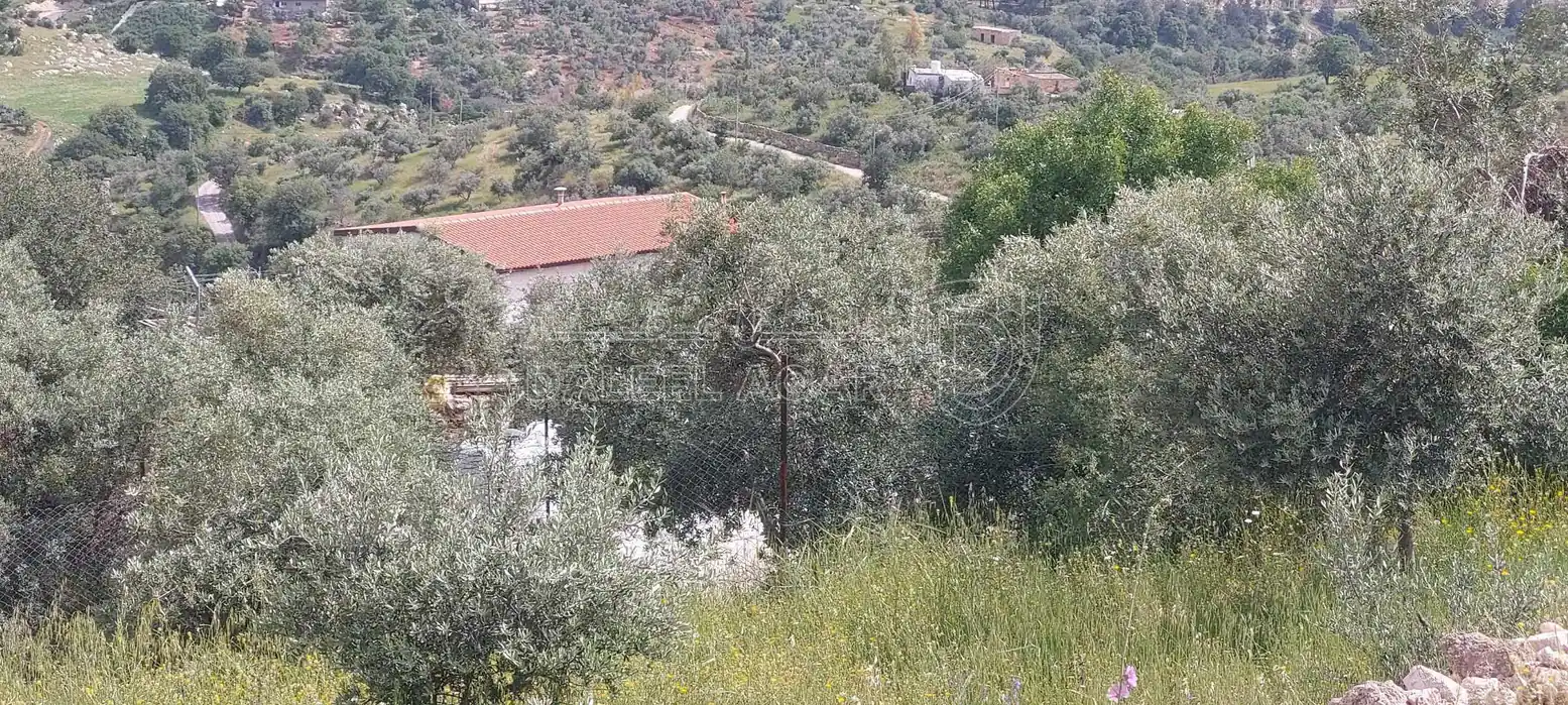 أرض في اراضي غرب عمان  - 550,000 دأ - صورة 5