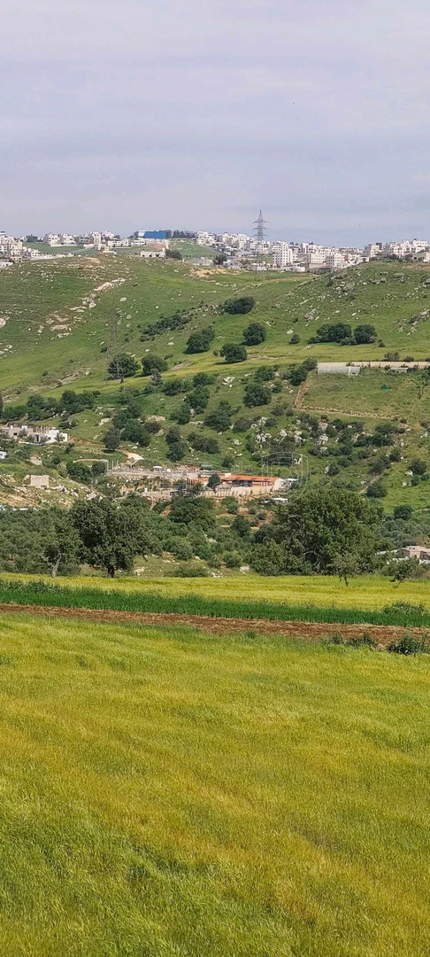 أرض في اراضي غرب عمان  - 550,000 دأ - صورة 9