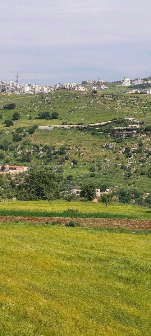 أرض في اراضي غرب عمان  - 550,000 دأ - صورة 10