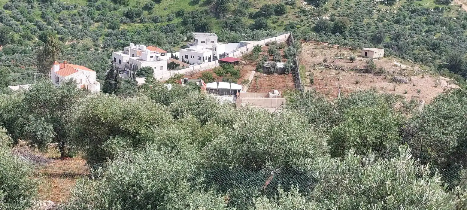 أرض في اراضي غرب عمان  - 550,000 دأ - صورة 6