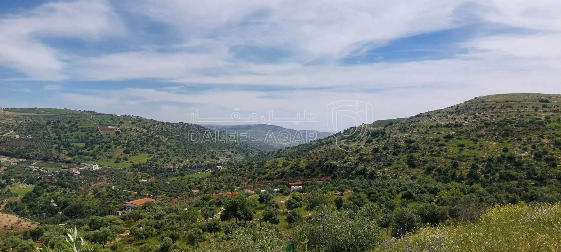 أرض في اراضي غرب عمان  - 550,000 دأ - صورة 18