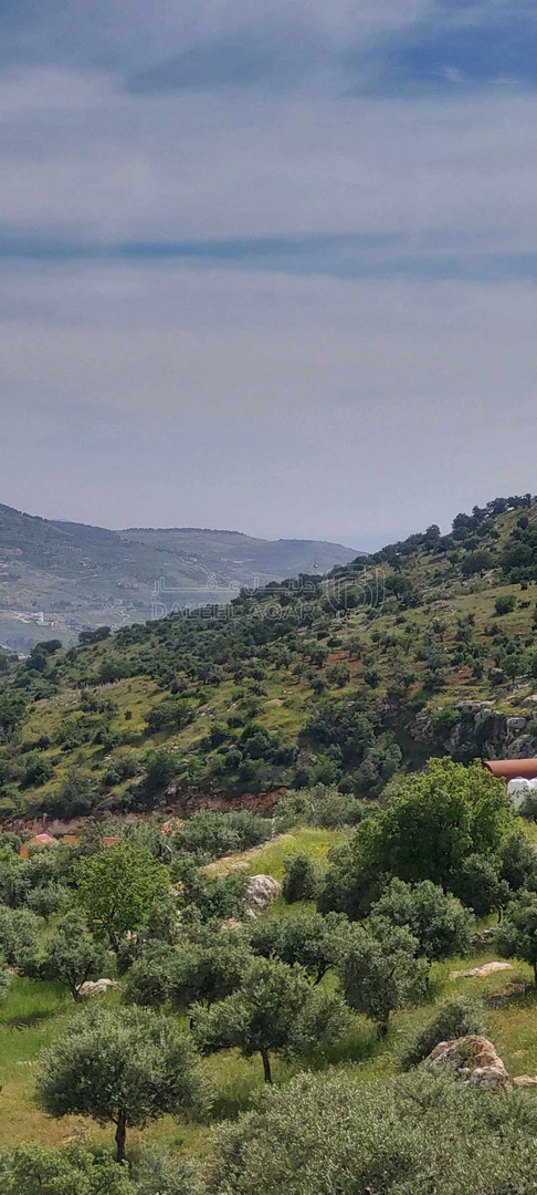 أرض في اراضي غرب عمان  - 550,000 دأ - صورة 17
