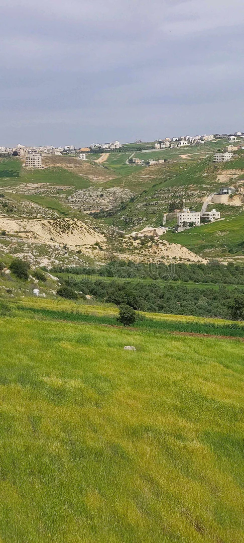 أرض في اراضي غرب عمان  - 550,000 دأ - صورة 11
