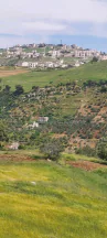 أرض في اراضي غرب عمان  - 550,000 دأ - صورة NaN