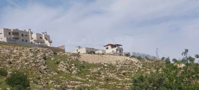 أرض في اراضي غرب عمان  - 550,000 دأ - صورة NaN