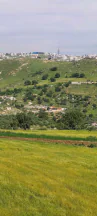أرض في اراضي غرب عمان  - 550,000 دأ - صورة NaN