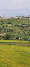 أرض في اراضي غرب عمان  - 550,000 دأ - صورة NaN