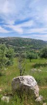 أرض في اراضي غرب عمان  - 550,000 دأ - صورة NaN