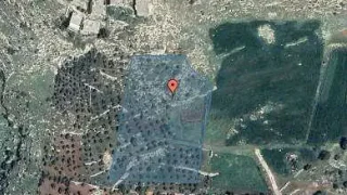 أرض - اراضي غرب عمان  - 550000 دأ