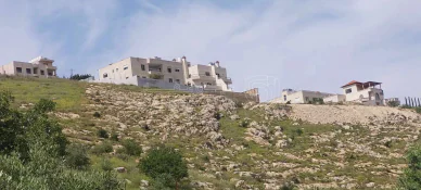 أرض في اراضي غرب عمان  - 550,000 دأ - صورة NaN