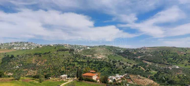 أرض في اراضي غرب عمان  - 550,000 دأ - صورة NaN