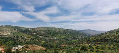 أرض في اراضي غرب عمان  - 550,000 دأ - صورة NaN
