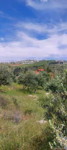 أرض في اراضي غرب عمان  - 550,000 دأ - صورة NaN