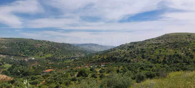أرض في اراضي غرب عمان  - 550,000 دأ - صورة NaN