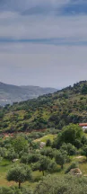 أرض في اراضي غرب عمان  - 550,000 دأ - صورة NaN