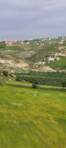 أرض في اراضي غرب عمان  - 550,000 دأ - صورة NaN