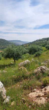 أرض في اراضي غرب عمان  - 550,000 دأ - صورة NaN