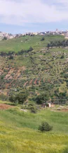 أرض في اراضي غرب عمان  - 550,000 دأ - صورة NaN