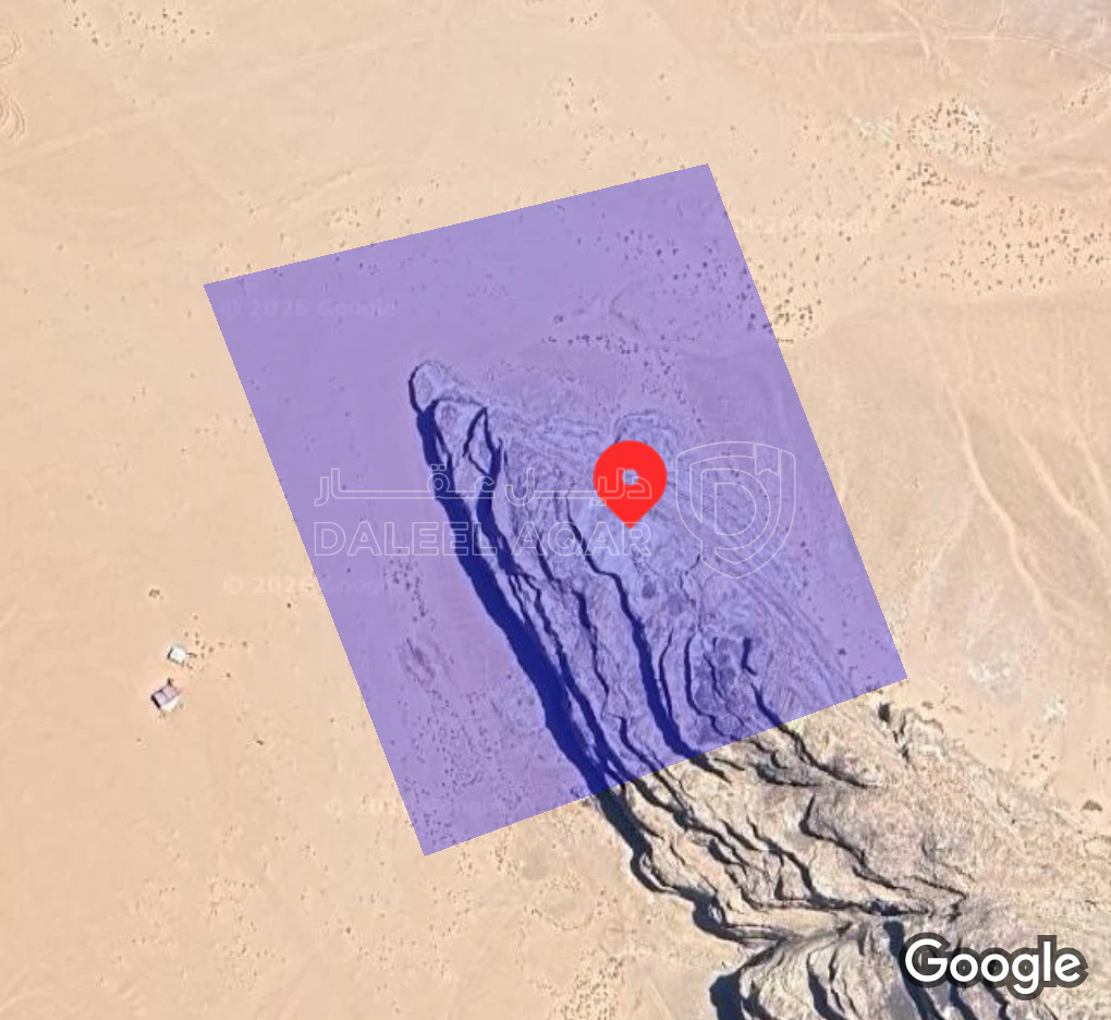 أرض في القويره العقبه القويرة العقبة - 20,000 دأ - صورة 1
