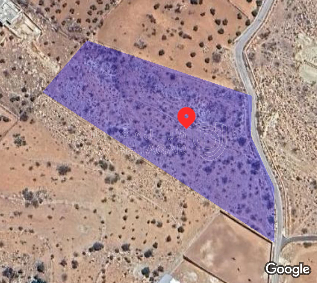 أرض في منطقة مرصع خلف غابة محمد النويران - 250,000 دأ - صورة 1