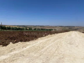 أرض في ناعور - بلعاس  - 85,000 دأ - صورة NaN