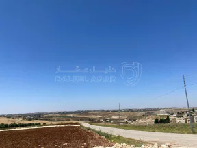 أرض في ناعور - بلعاس  - 85,000 دأ - صورة NaN