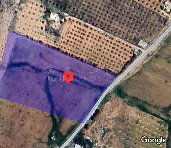 أرض في مادبا  ذيبان مطل الشقيق  - 70,000 دأ - صورة 1