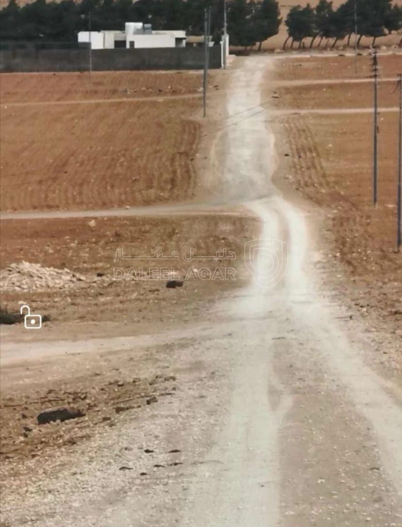 أرض في قطعة ارض للبيع ذهيبة غربية مميزه جدا داخل تنظيم - 36,000 دأ - صورة 1