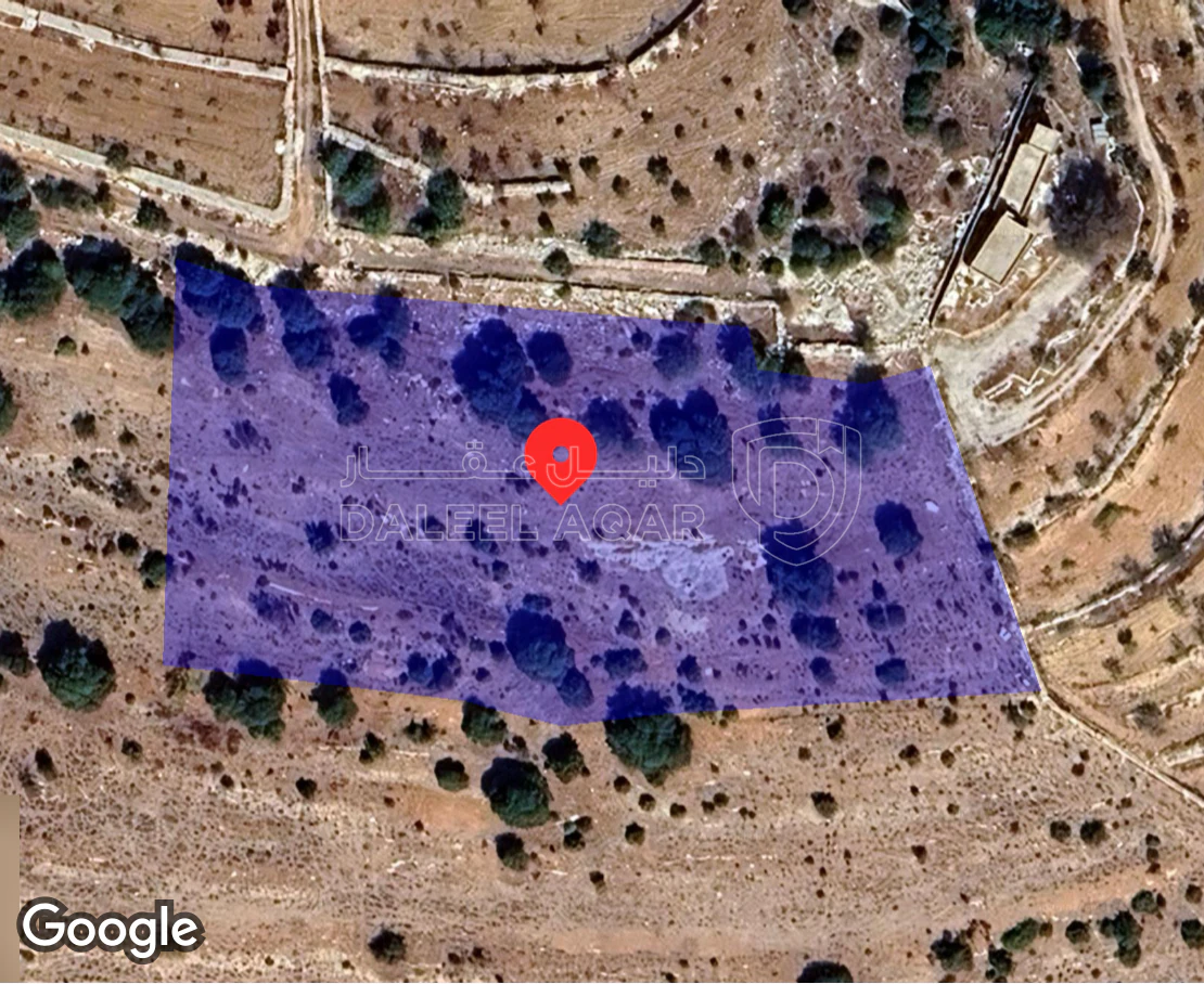 أرض في اراضي جرش، سوف ، ابو الوفا الشمالي - 135,000 دأ - صورة 1