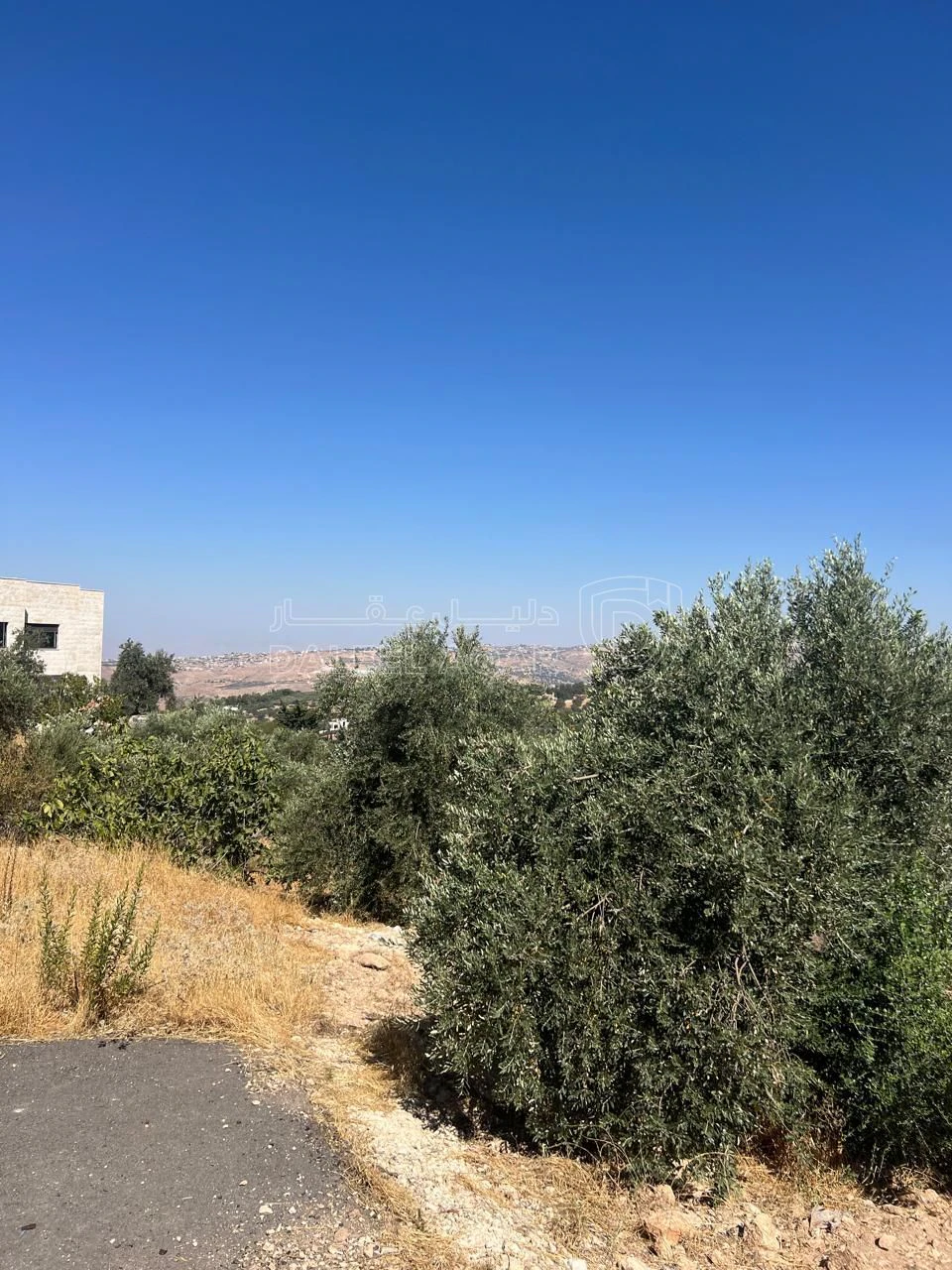 أرض في بدر الجديدة  غرب عمان  - 450,000 دأ - صورة 2