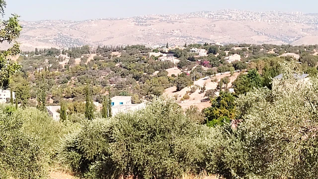 أرض - بدر الجديدة  غرب عمان  - 450000 دأ