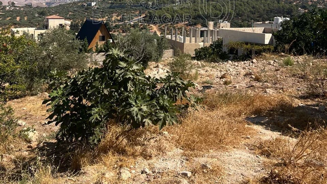 أرض في بدر الجديدة  غرب عمان  - 450,000 دأ - صورة NaN