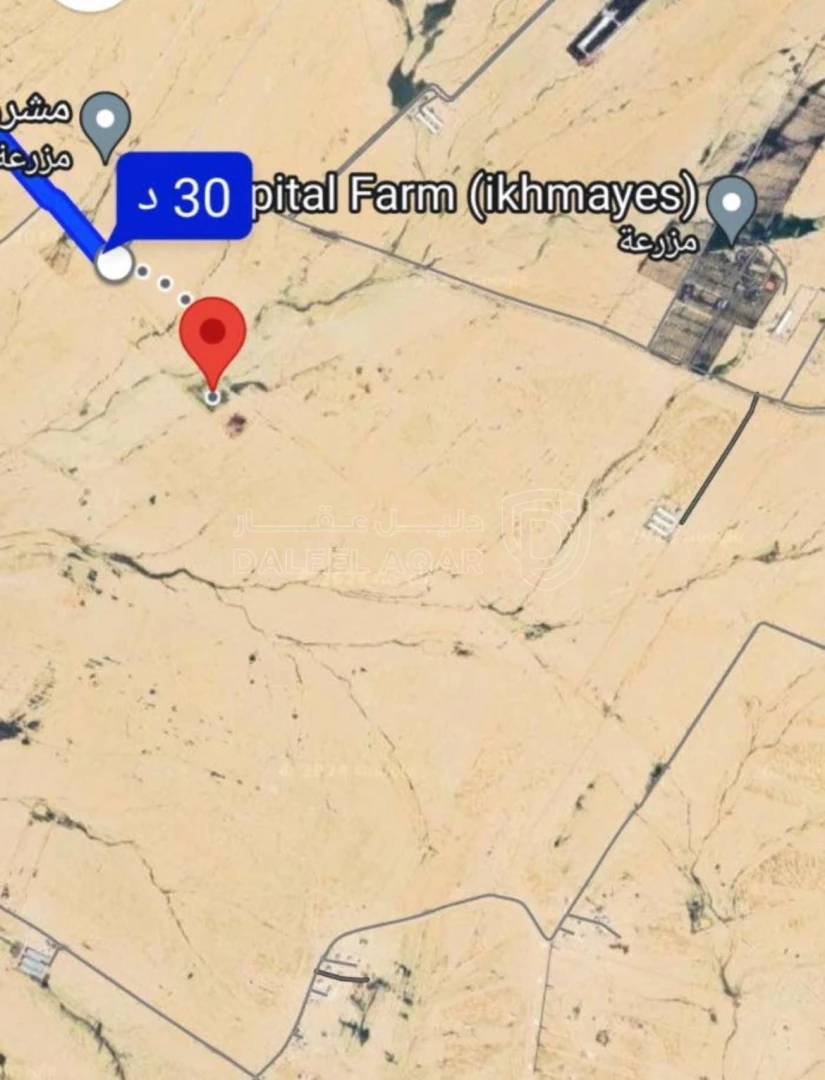 أرض في ارض للبيع القنيطره الكدراوي الشمالي  - 15,000 دأ - صورة 1
